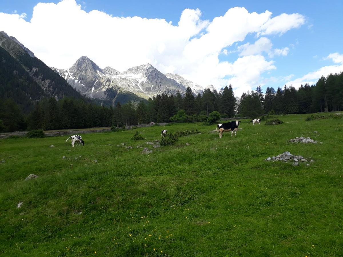 Unterreinischhof Villa Anterselva di Mezzo Kültér fotó