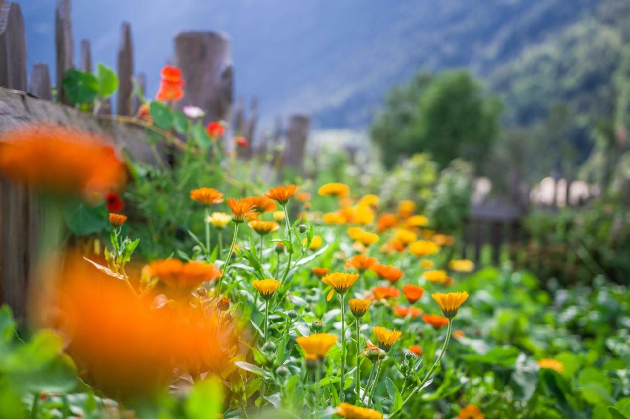 Unterreinischhof Villa Anterselva di Mezzo Kültér fotó